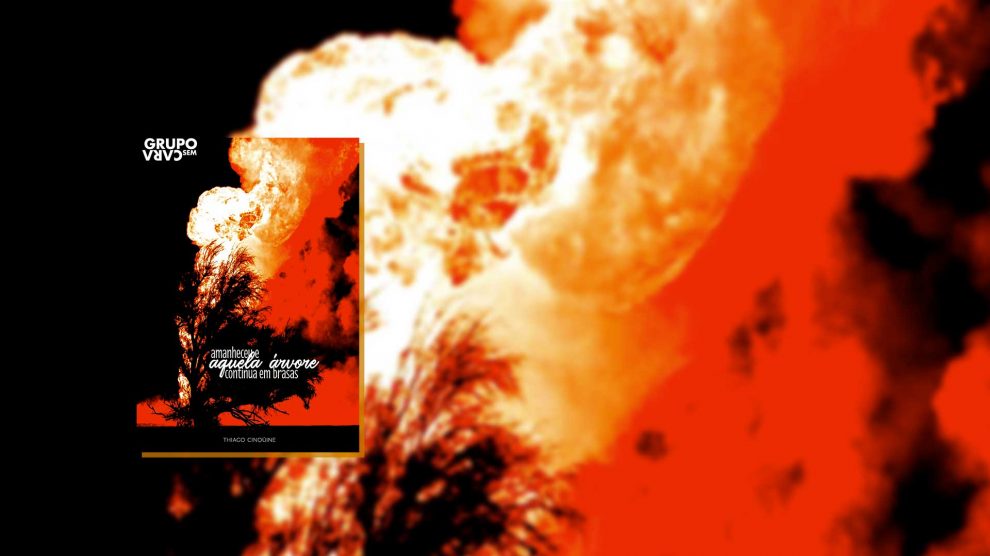 Amanheceu e aquela árvore continua em brasas