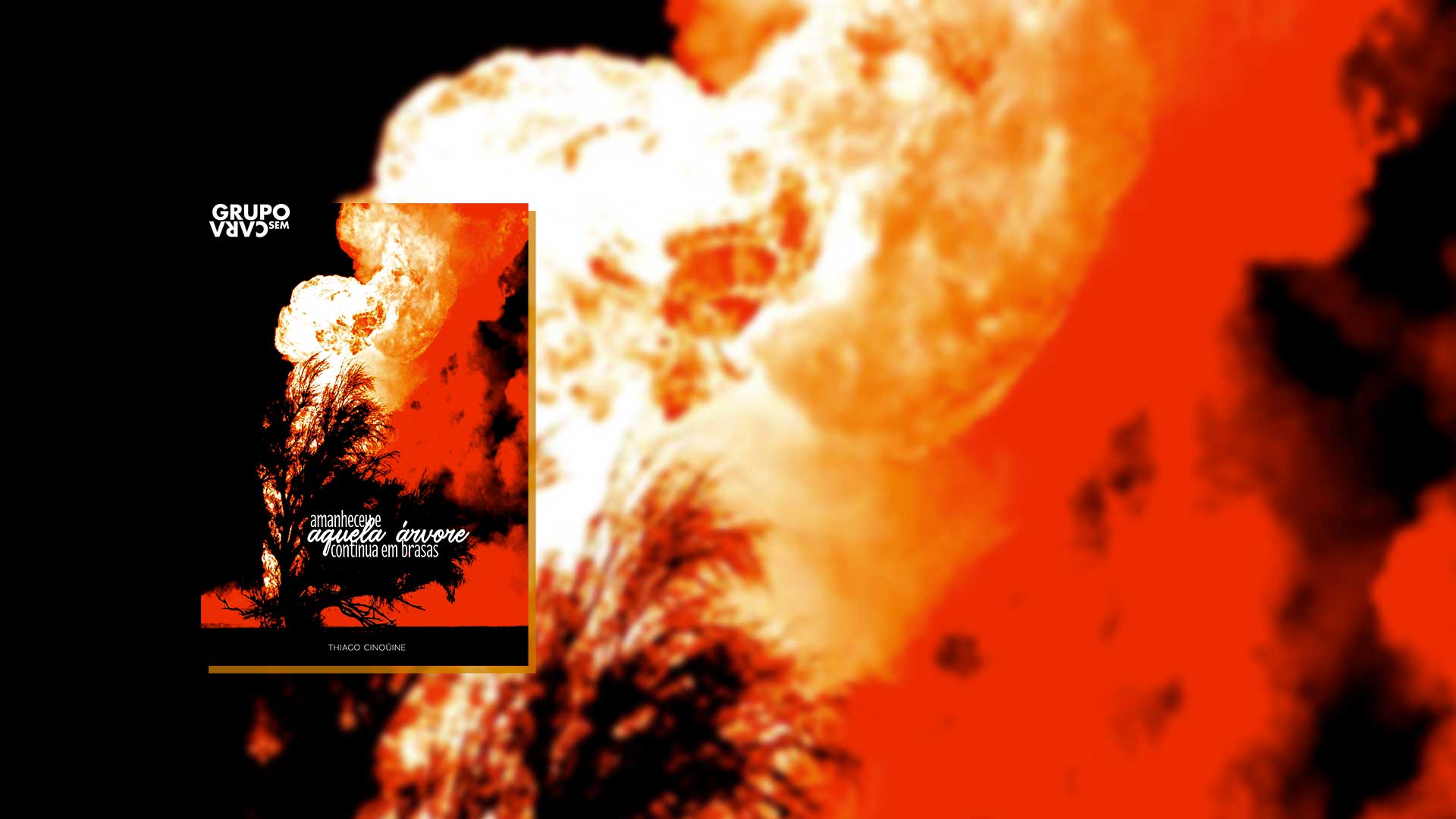 Amanheceu e aquela árvore continua em brasas